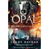 Opal: A Poodle's Journey Home