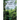 Ancient Maya