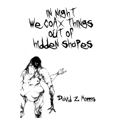 in night we coax things out of hidden shapes