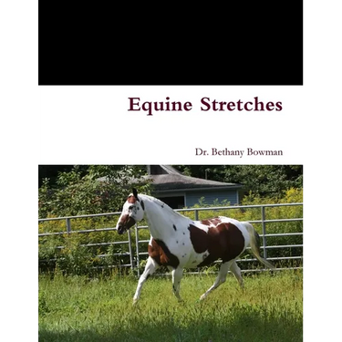 Equine Stretches