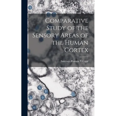 Comparative Study of the Sensory Areas of the Human Cortex