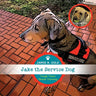 Jake the Service Dog Book 2: Tough Times Means Training