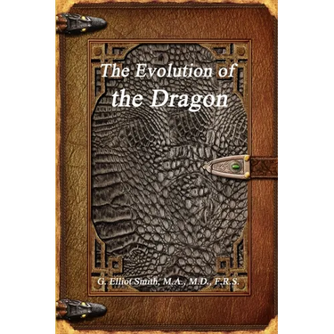 The Evolution of the Dragon