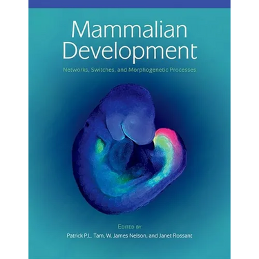 Mammalian Development: Networks, Switches, and Morphogenetic Processes