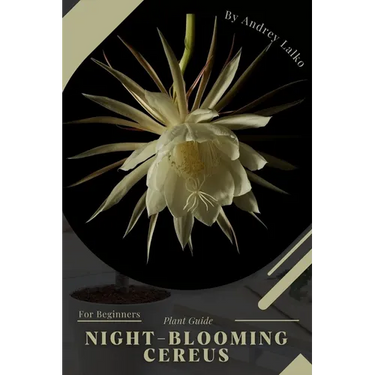 Night-Blooming Cereus: Plant Guide