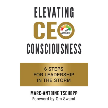 Elevating CEO Consciousness: 6 Steps for Leadership in the Storm
