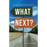 What Next?: God-Given Strategies for Life Stabilization