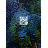 Wetland Project: Explorations in Sound, Ecology and Post-Geographical Art
