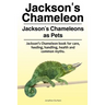 Jackson's Chameleon. Jackson's Chameleons as Pets. Jackson's Chameleon book for care, feeding, handling, health and common myths.