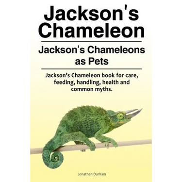 Jackson's Chameleon. Jackson's Chameleons as Pets. Jackson's Chameleon book for care, feeding, handling, health and common myths.