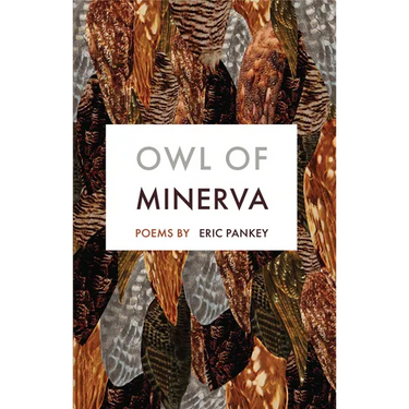 Owl of Minerva: Poems