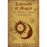 Labyrinth of Magick: The Book of Jesus : A Channeled Text