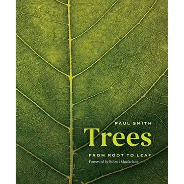 Trees: From Root to Leaf