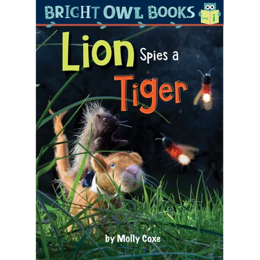 Lion Spies a Tiger