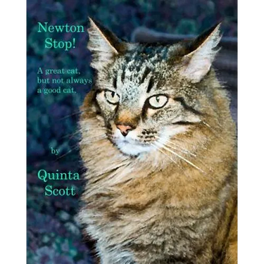 Newton Stop!