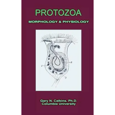 Protozoa Morphology & Physiology (Microbiology Series)