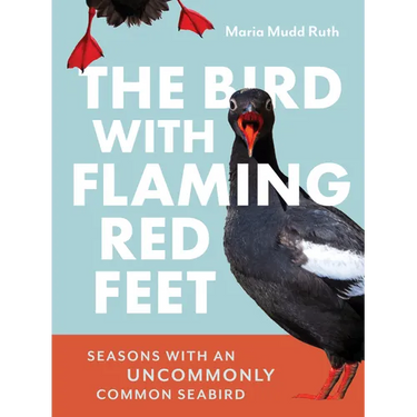 The Bird with Flaming Red Feet: Seasons with an Uncommonly Common Seabird