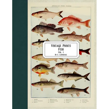 Vintage Prints: Fish: Vol. 1
