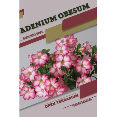 Adenium obesum: Open terrarium, Beginner's Guide