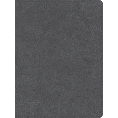 CSB He Reads Truth Bible, Smoke Leathertouch, Indexed