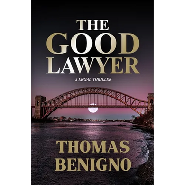 The Good Lawyer