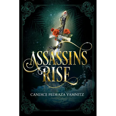 Assassins Rise