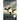 Like Feathers of a Wing: Fourth Book in the Rising Wind Series: Deep Informative and Pertinent