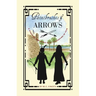 Paintbrushes and Arrows: A Story of St. Augustine