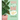 What Is My Plant Telling Me?: An Illustrated Guide to Houseplants and How to Keep Them Alive