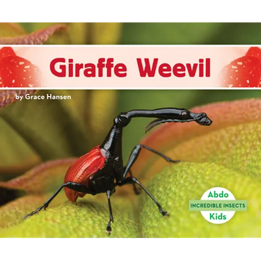 Giraffe Weevil