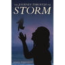 The Journey Through the Storm