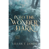Into the Wonder Dark