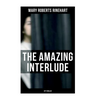 The Amazing Interlude (Spy Thriller): Spy Mystery Novel