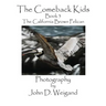 The Comeback Kids, Book 3, the California Brown Pelican