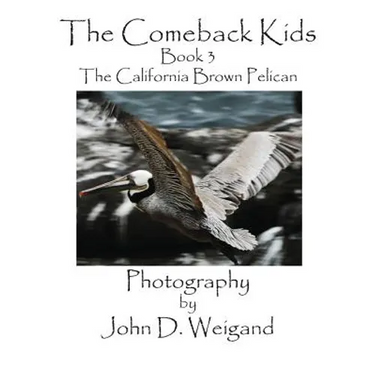 The Comeback Kids, Book 3, the California Brown Pelican