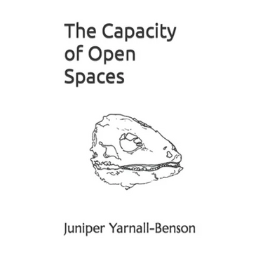 The Capacity of Open Spaces