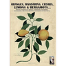 Oranges, mandarins, cedars, lemons & bergamots..: Artistic engravings of Ferrari, Aldrovrandi, Volckhamer...