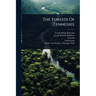 The Forests Of Tennessee