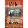 Haint: A Tale of Extraterrestrial Intervention and Love Across Time and Space