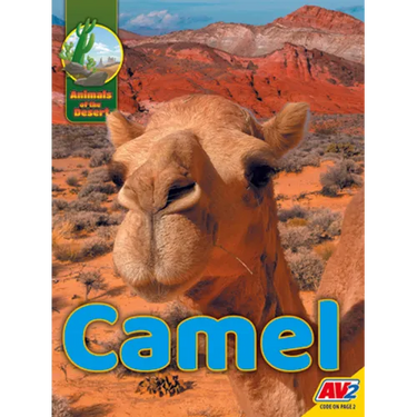 Camel