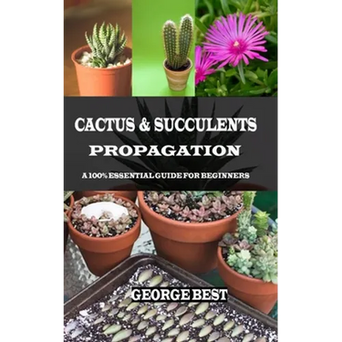 Cactus & Succulents Propagation: A 100% Essential Guide for Beginners