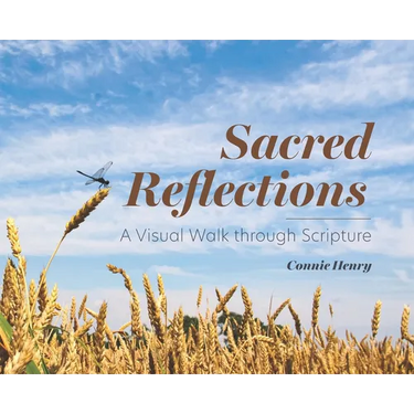 Sacred Reflections: A Visual Walk through Scripture