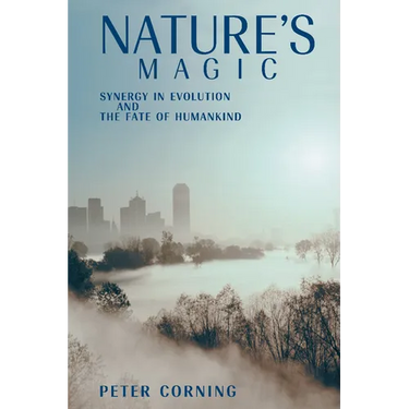 Nature's Magic: Synergy in Evolution and the Fate of Humankind