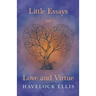 Little Essays on Love and Virtue