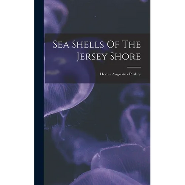 Sea Shells Of The Jersey Shore