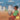 Let's Play Football: With African Animals in Tigrinya and English