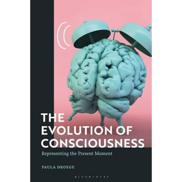 The Evolution of Consciousness: Representing the Present Moment