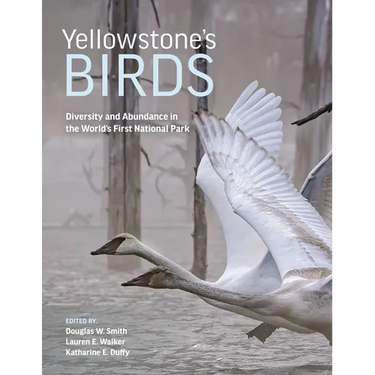 Yellowstone's Birds: Diversity and Abundance in the World's First National Park