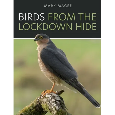 Birds From The Lockdown Hide