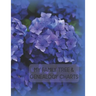 My Family Tree & Genealogy Charts